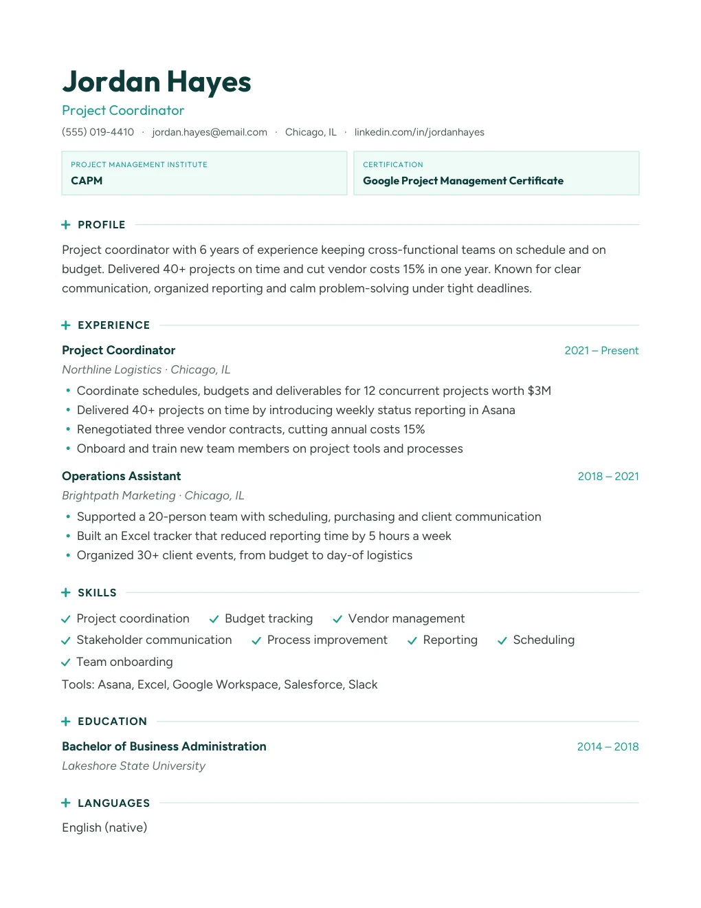 Mint resume design