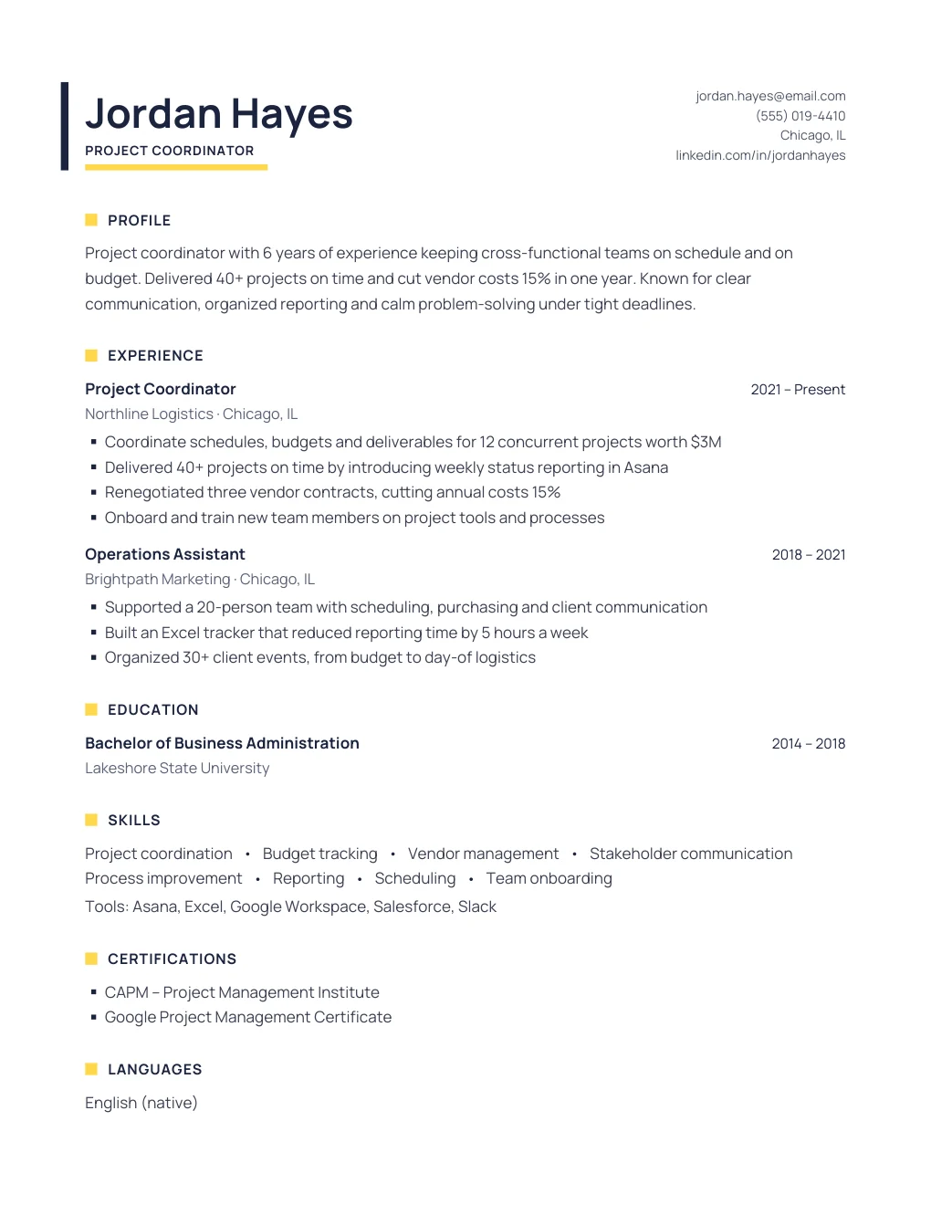 Ink resume design
